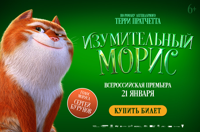 Кот морис